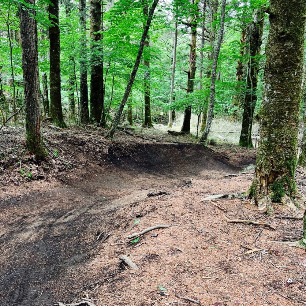 マウンテンバイク MTB ふじてんリゾート 山梨 リフト