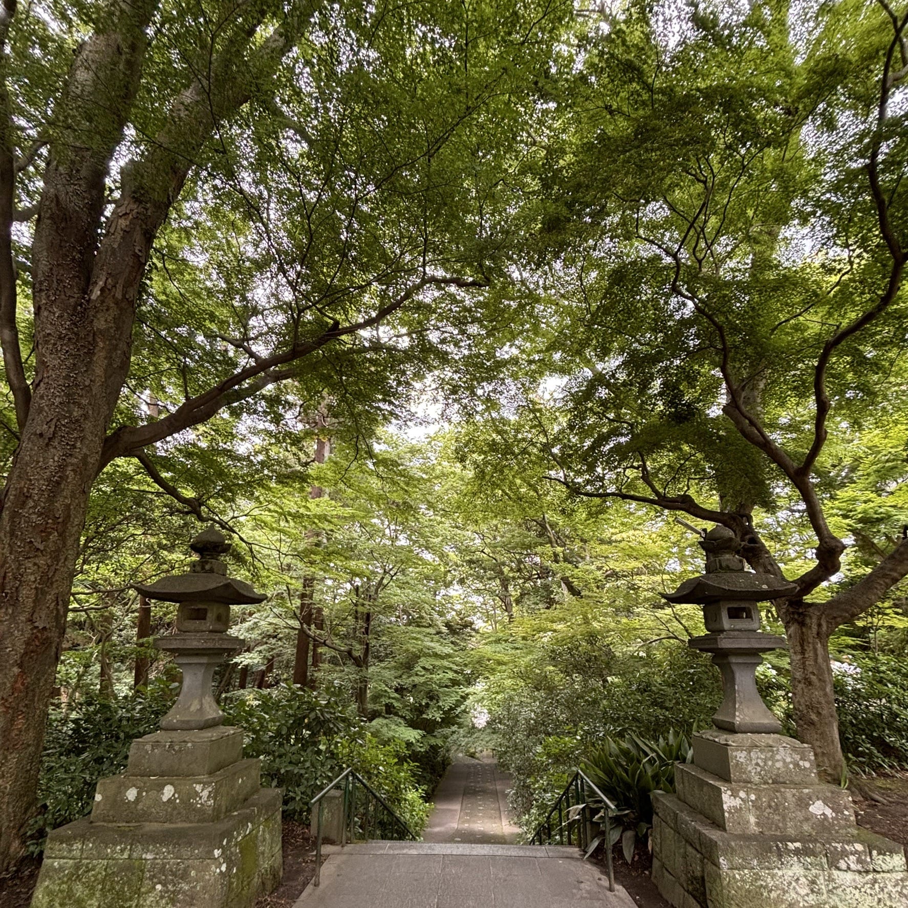 妙本寺