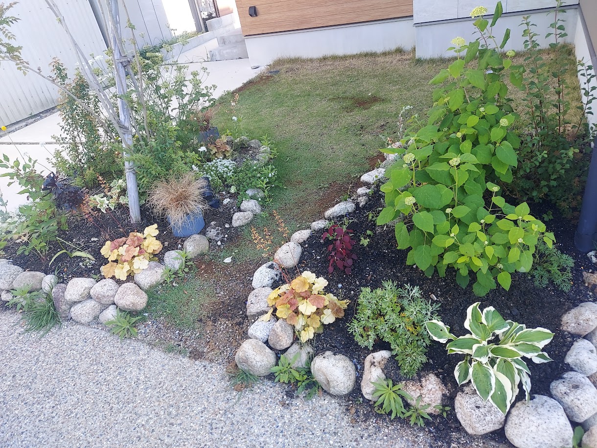 芝エリア　コポ　花壇