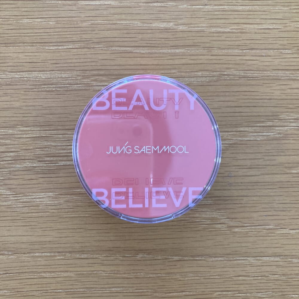 JUNG SAEM MOOL アーティストクッションブラッシュ