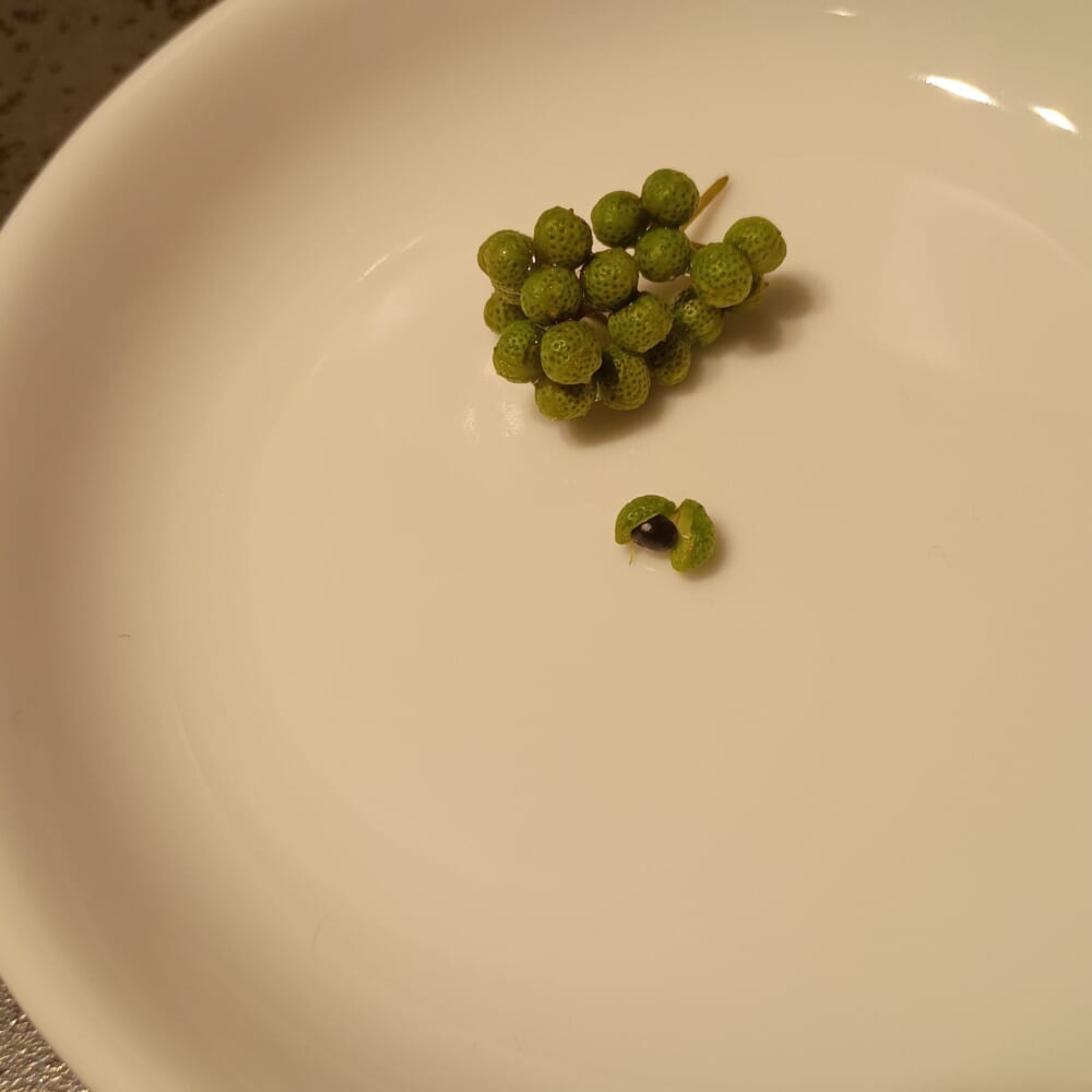 山椒 粉山椒 手仕事3