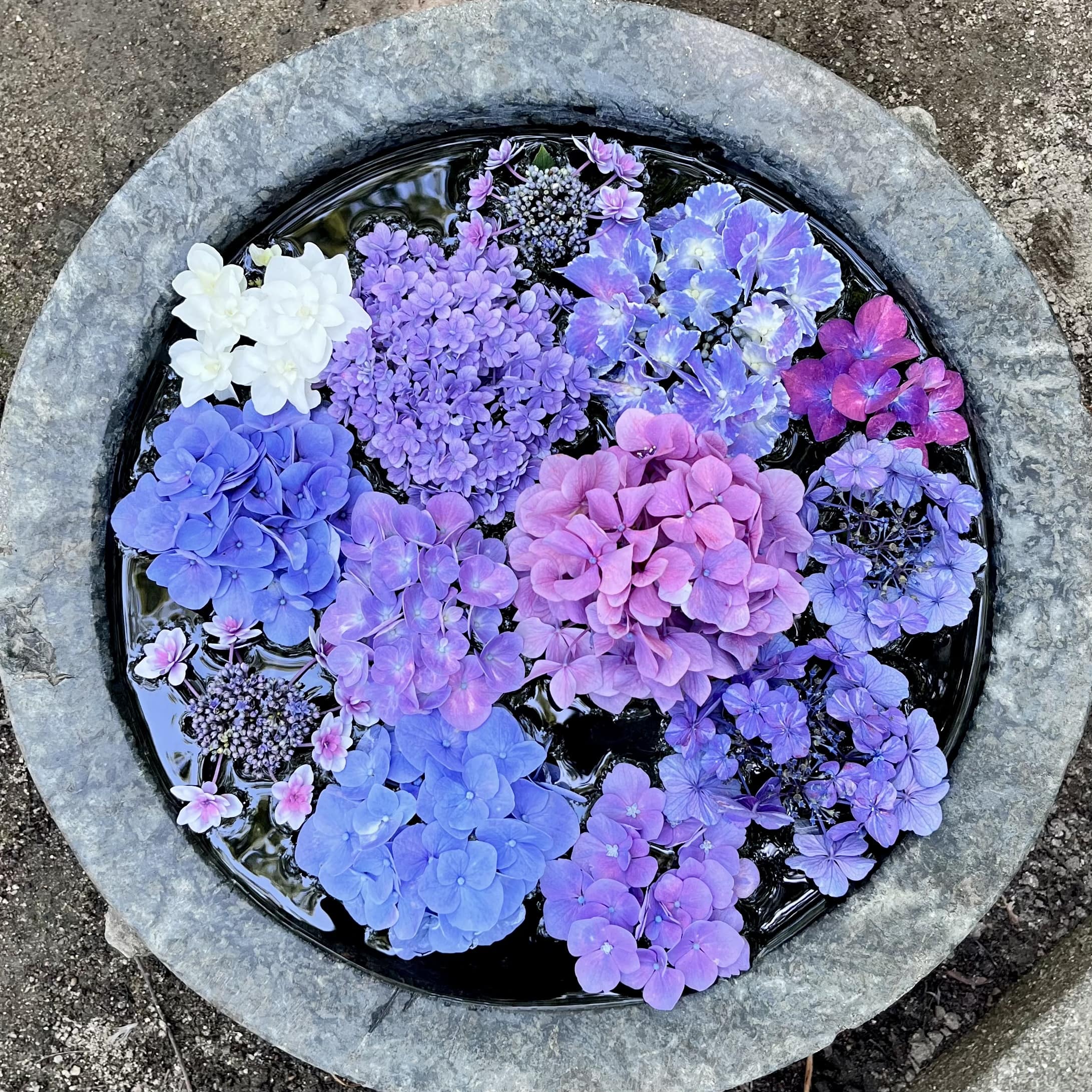 手水鉢