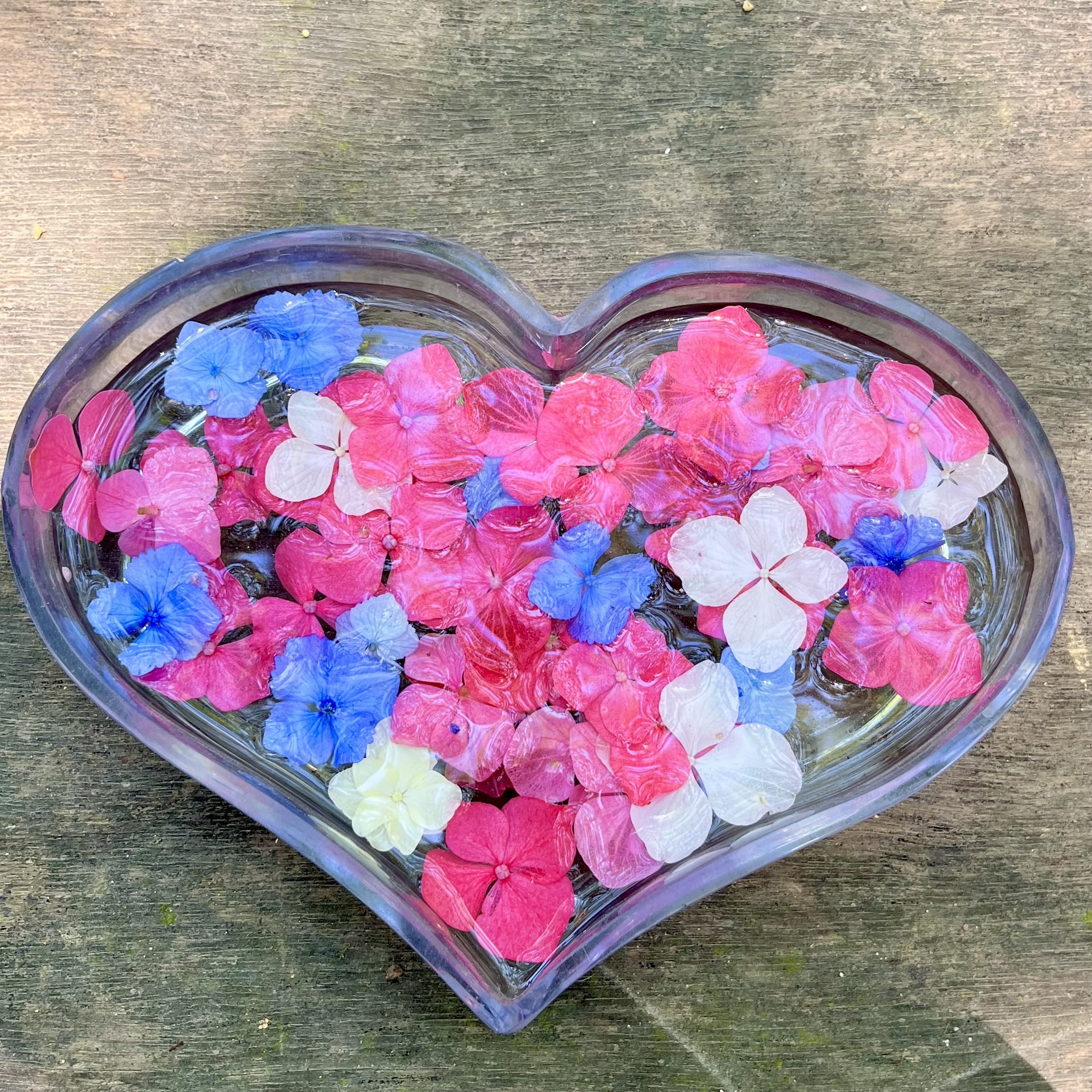 紫陽花