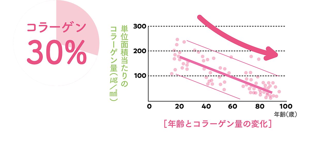 年齢によるコラーゲン量の変化グラフ
