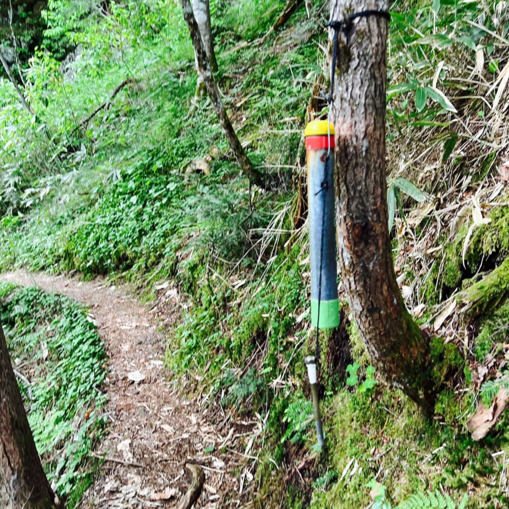 のりくらロゲイニング 2026 team定食　長野県　乗鞍　Mt.乗鞍スノーリゾート