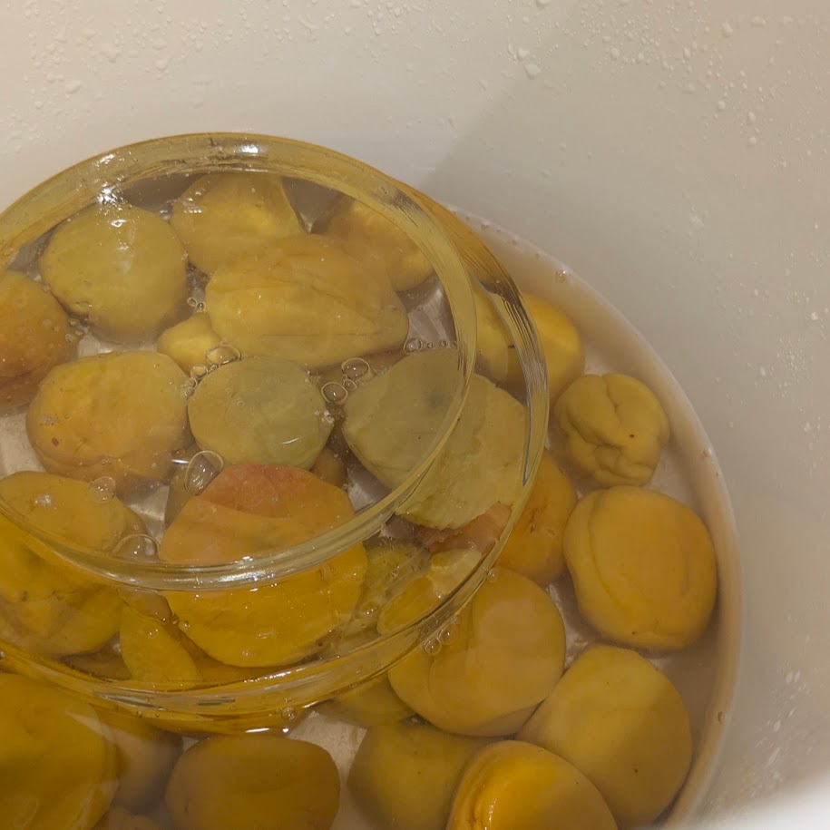 梅仕事　梅酢　ガラスの重石
