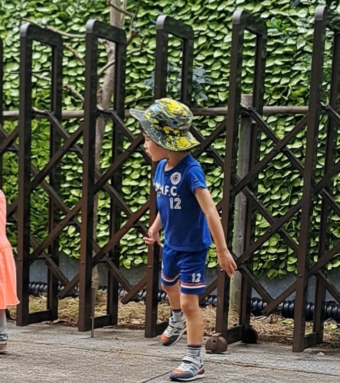 5歳ピクニックの服