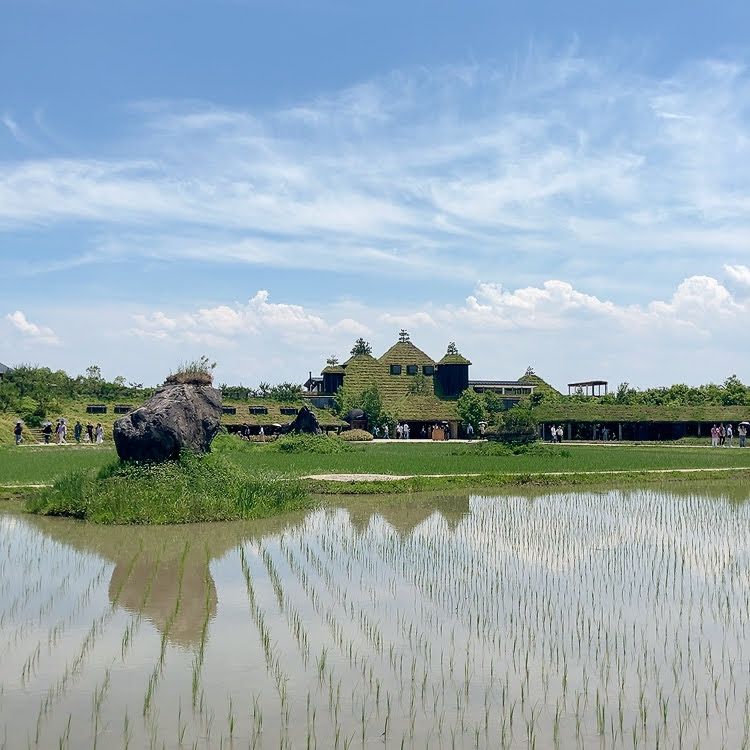 ラコリーナ 水田