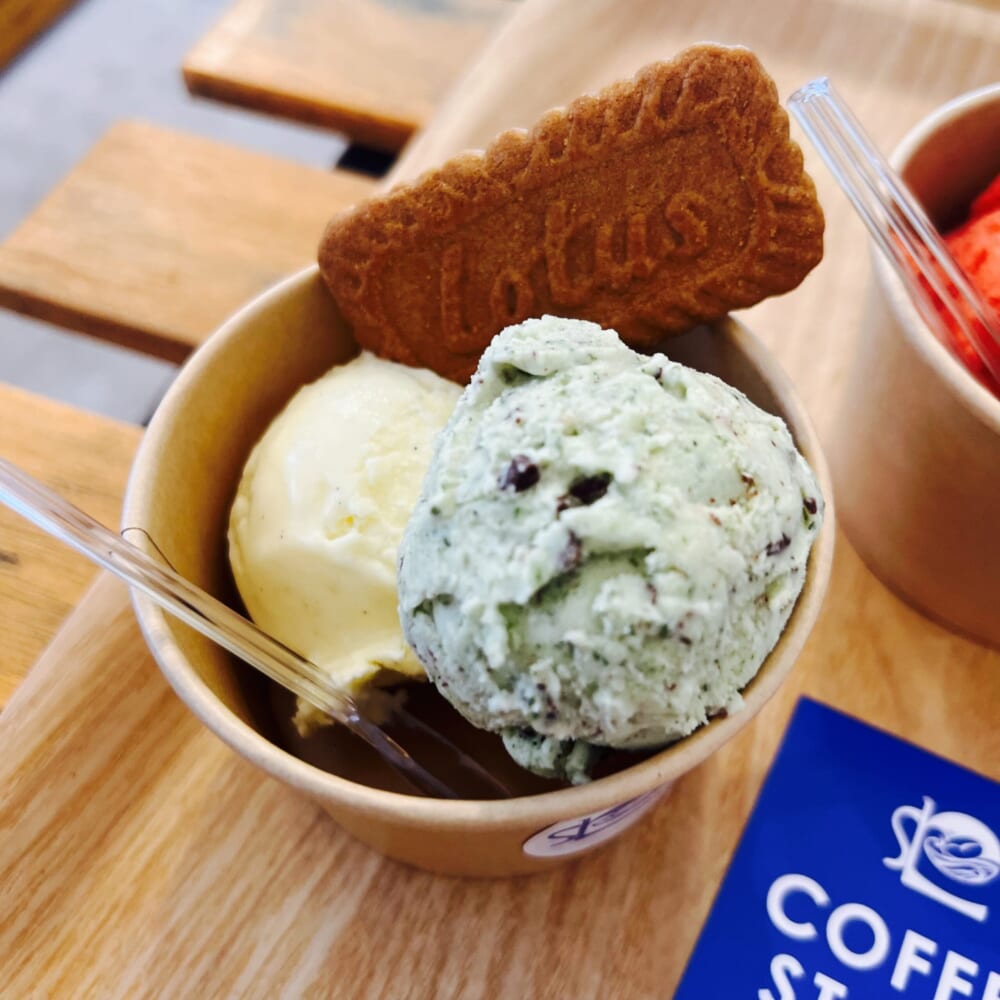 Splen Coffee SHONAN 藤沢産ミントのミントチョコジェラート ラズベリー マダガスカルバニラ