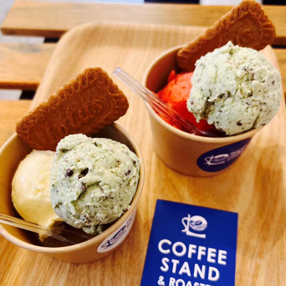 Splen Coffee SHONAN 藤沢産ミントのミントチョコジェラート ラズベリー マダガスカルバニラ