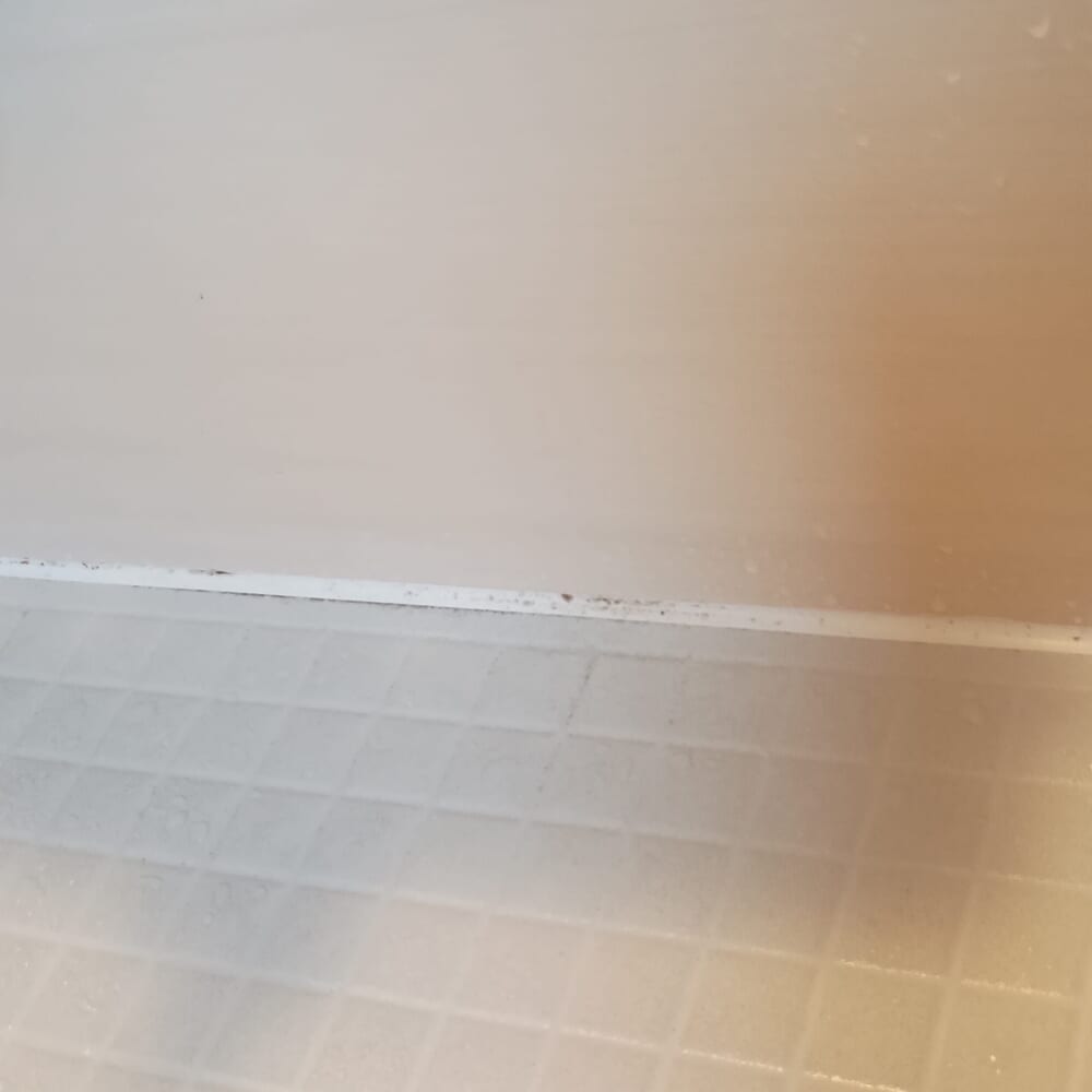風呂場 掃除 梅雨 カビ2