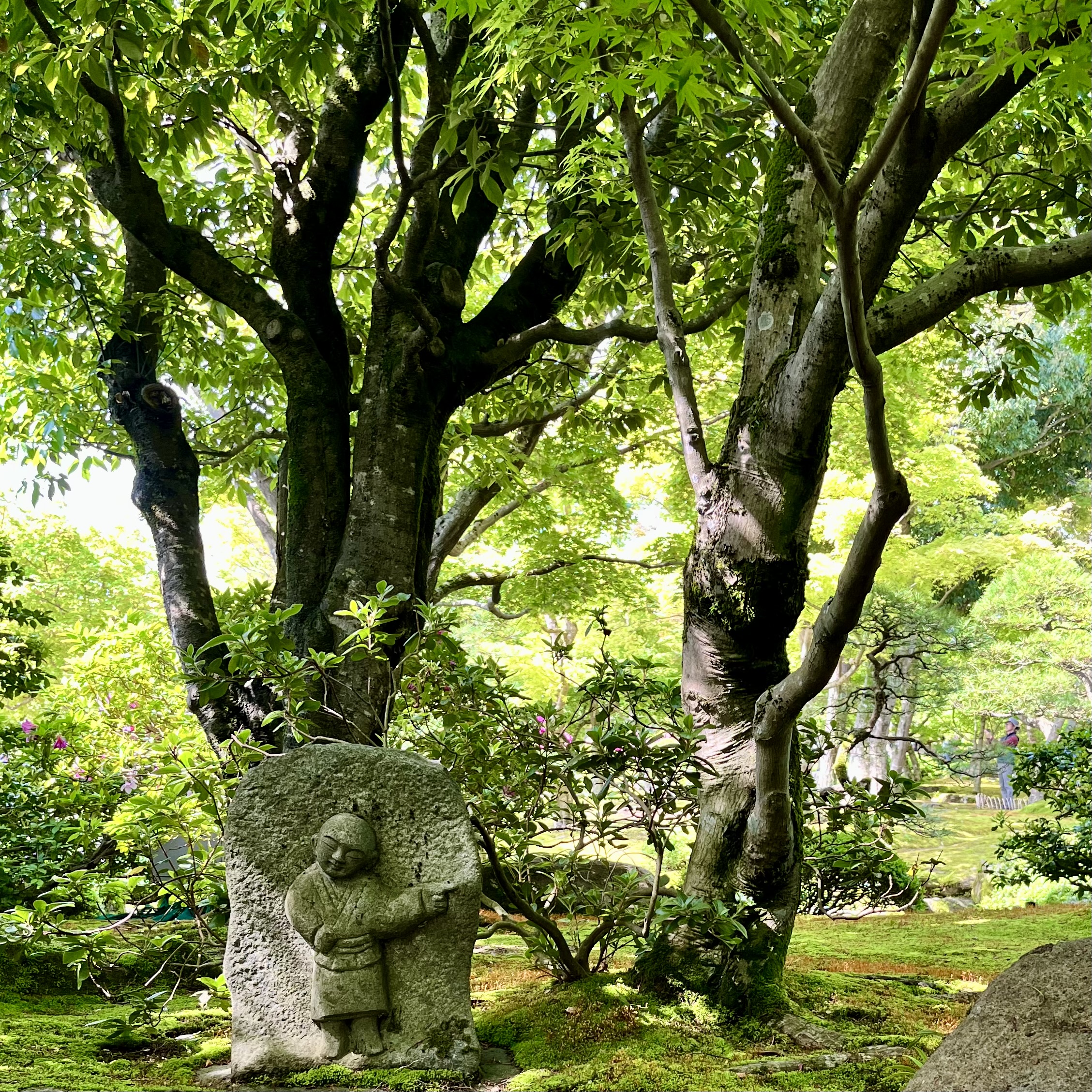 庭