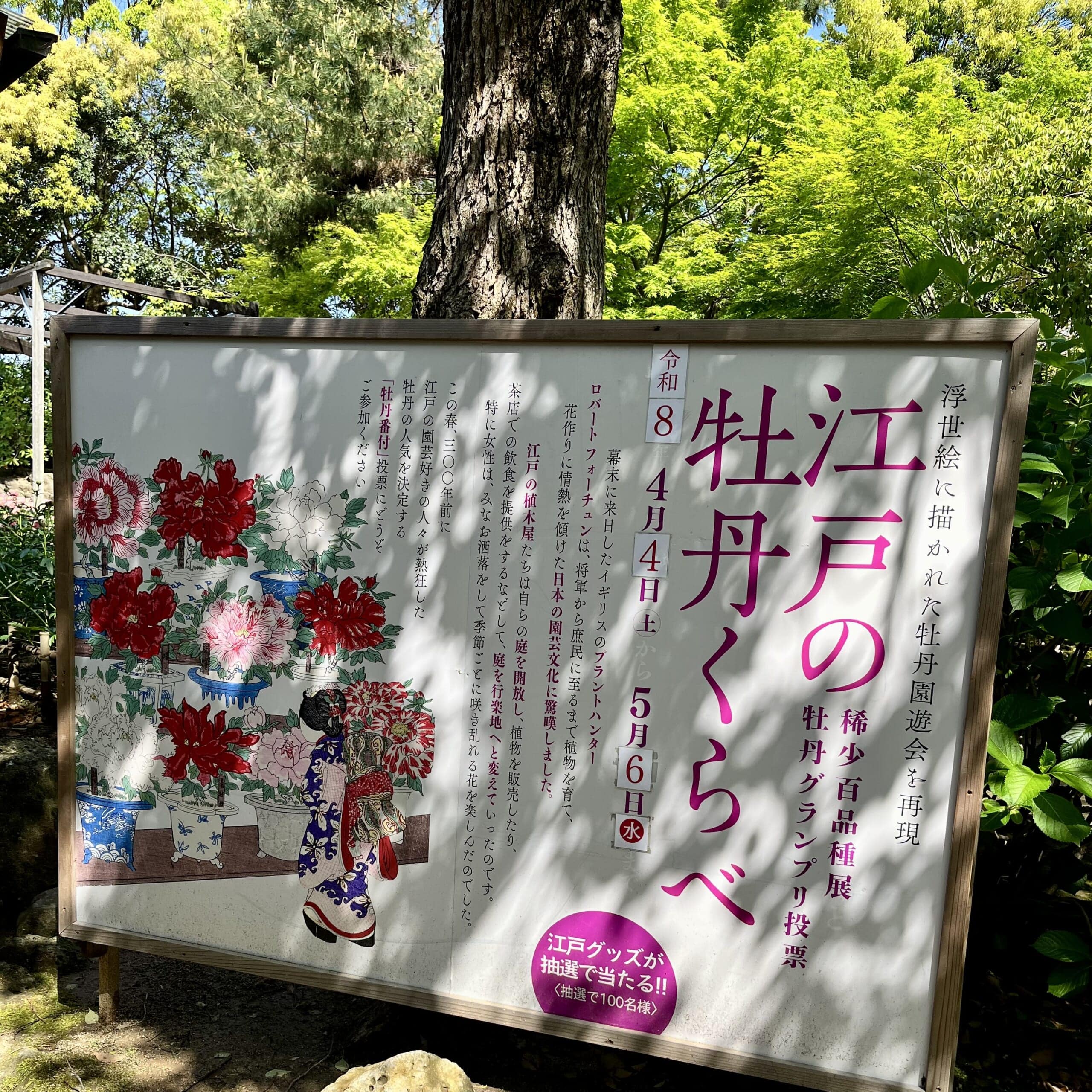 看板