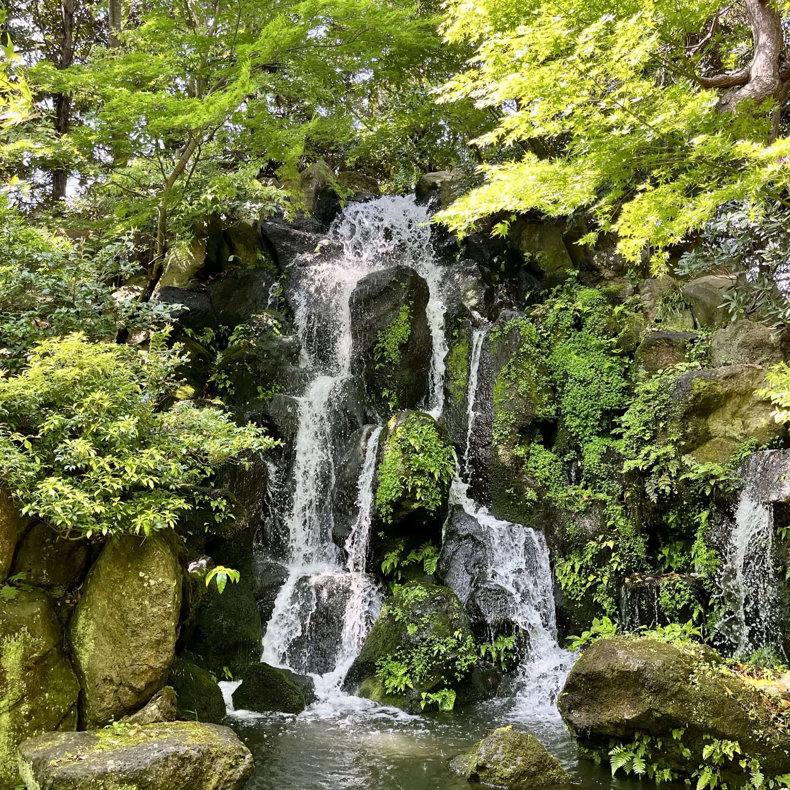滝　庭