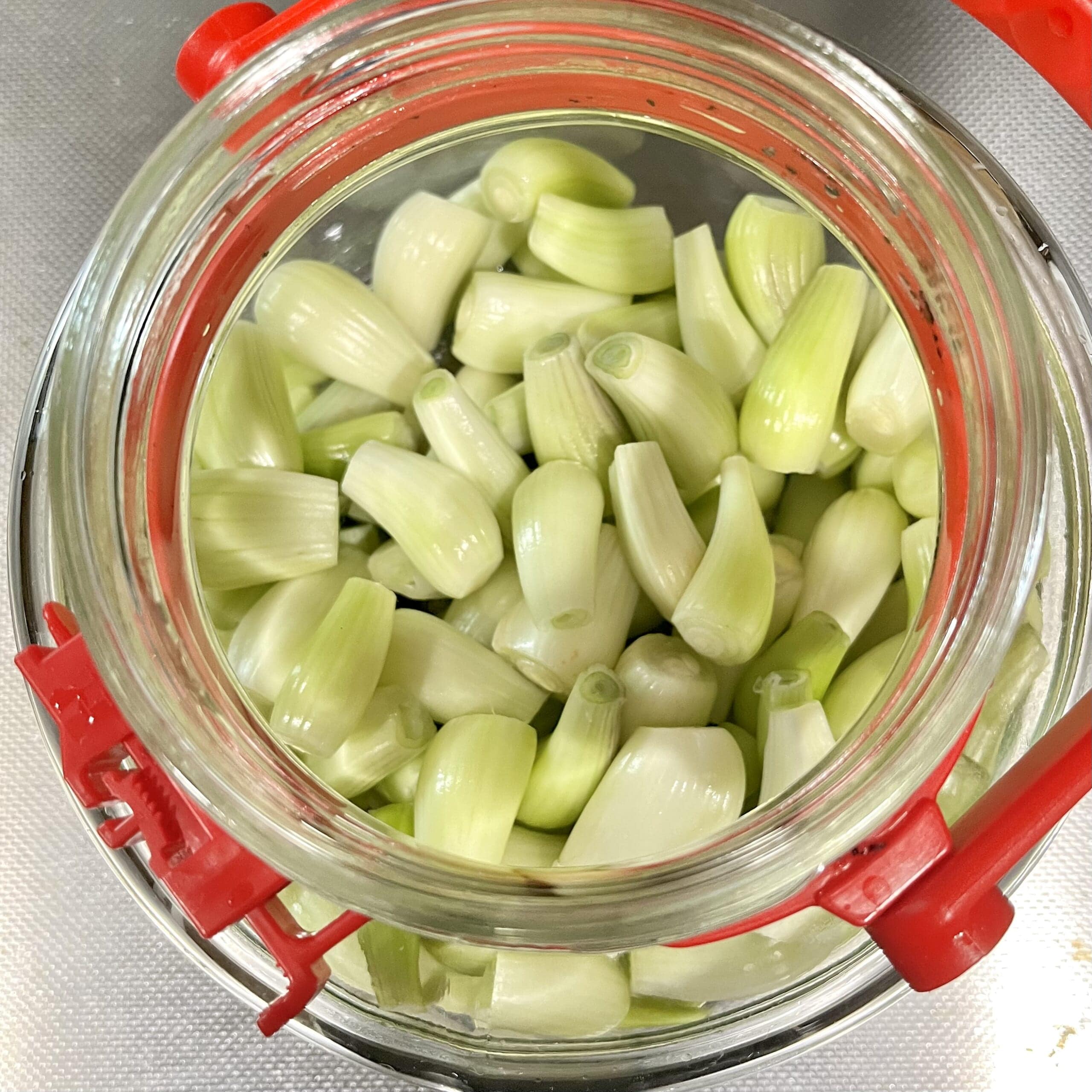 らっきょう 野菜