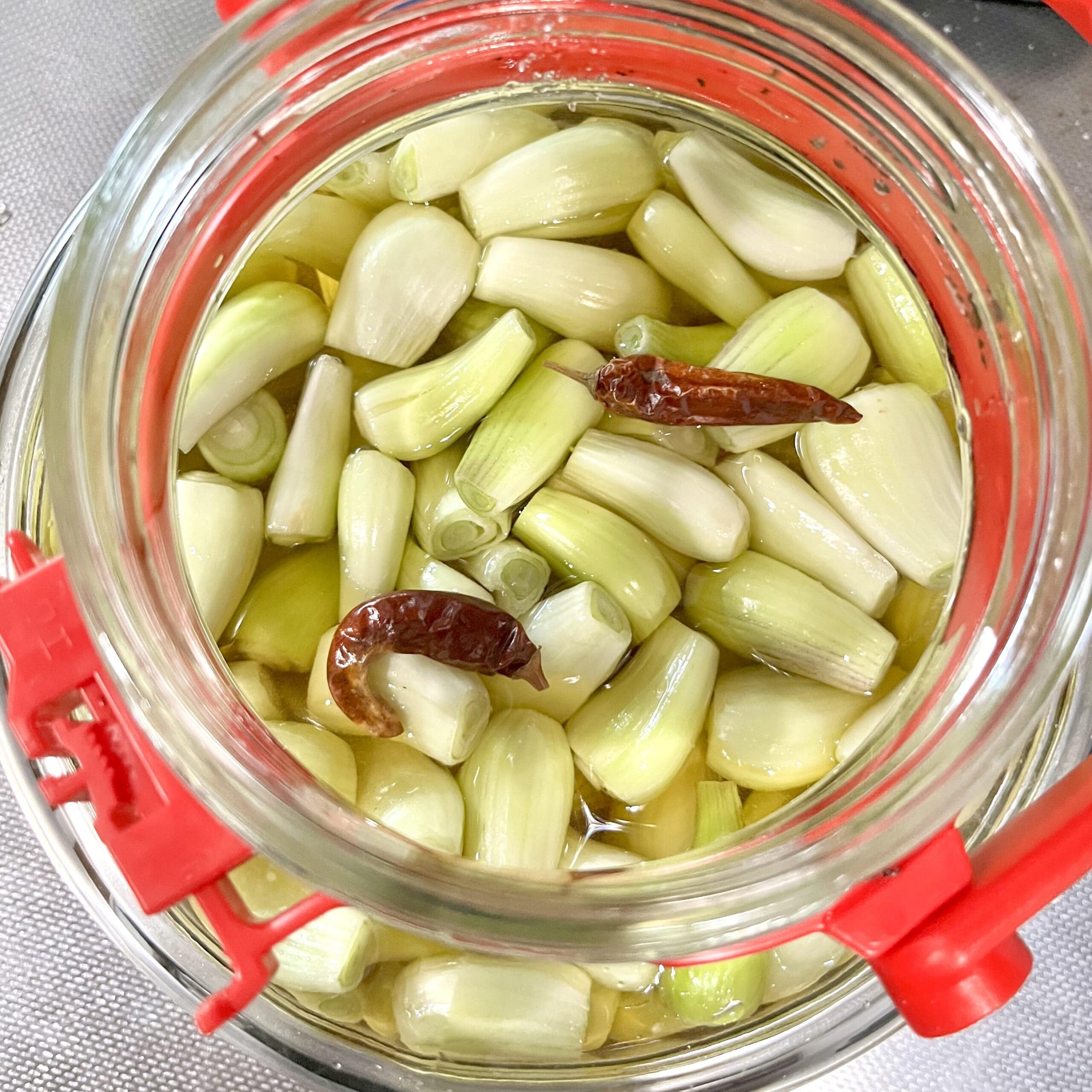 らっきょう 野菜
