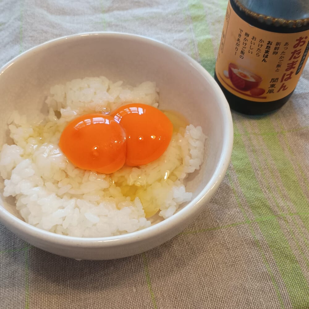 卵　双子