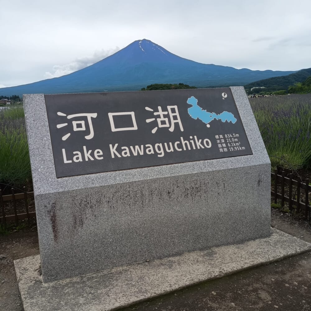 ラベンダー　富士河口湖　山梨2