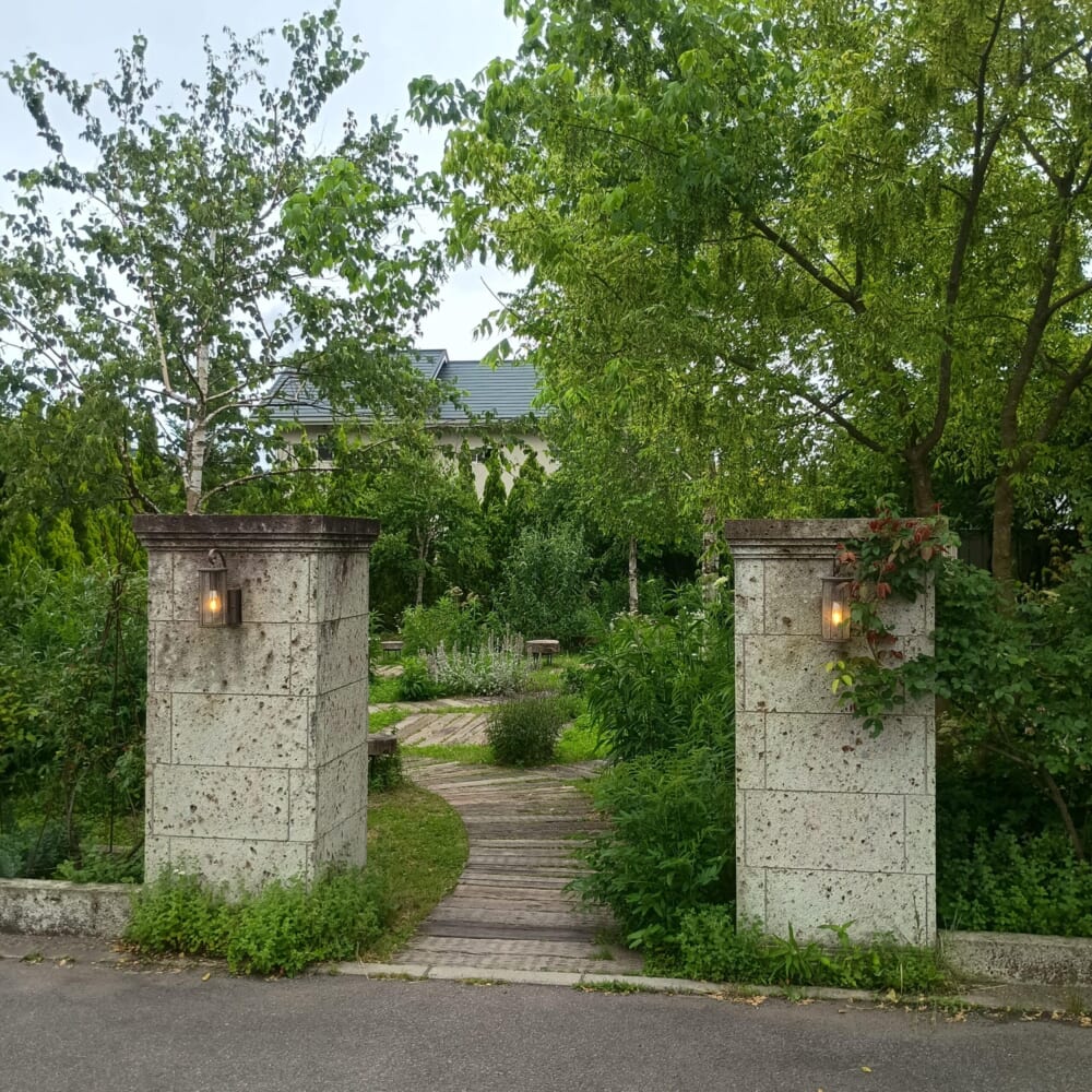 ラベンダー　富士河口湖　山梨24