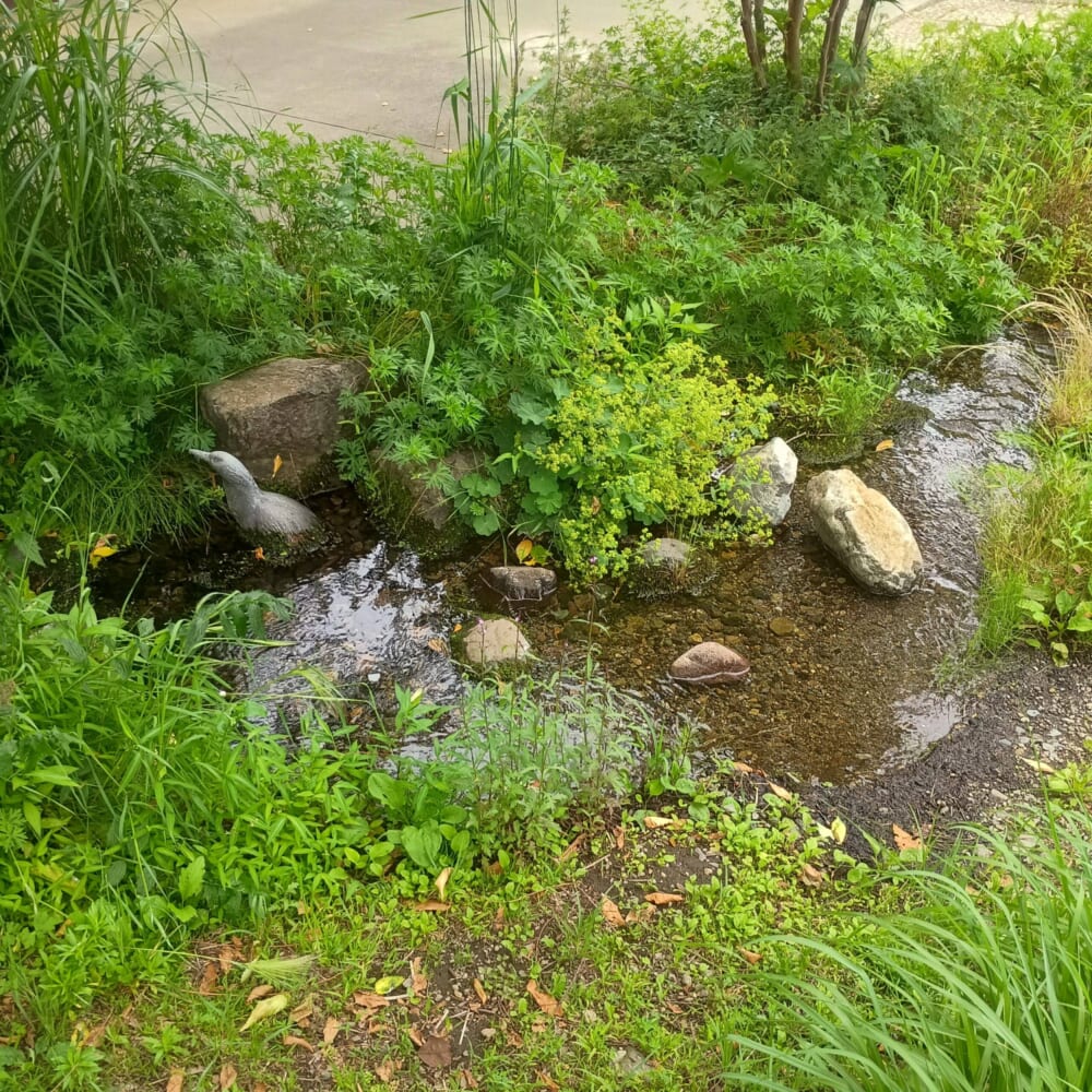 ラベンダー　富士河口湖　山梨28