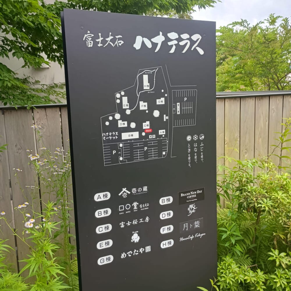 ラベンダー　富士河口湖　山梨21