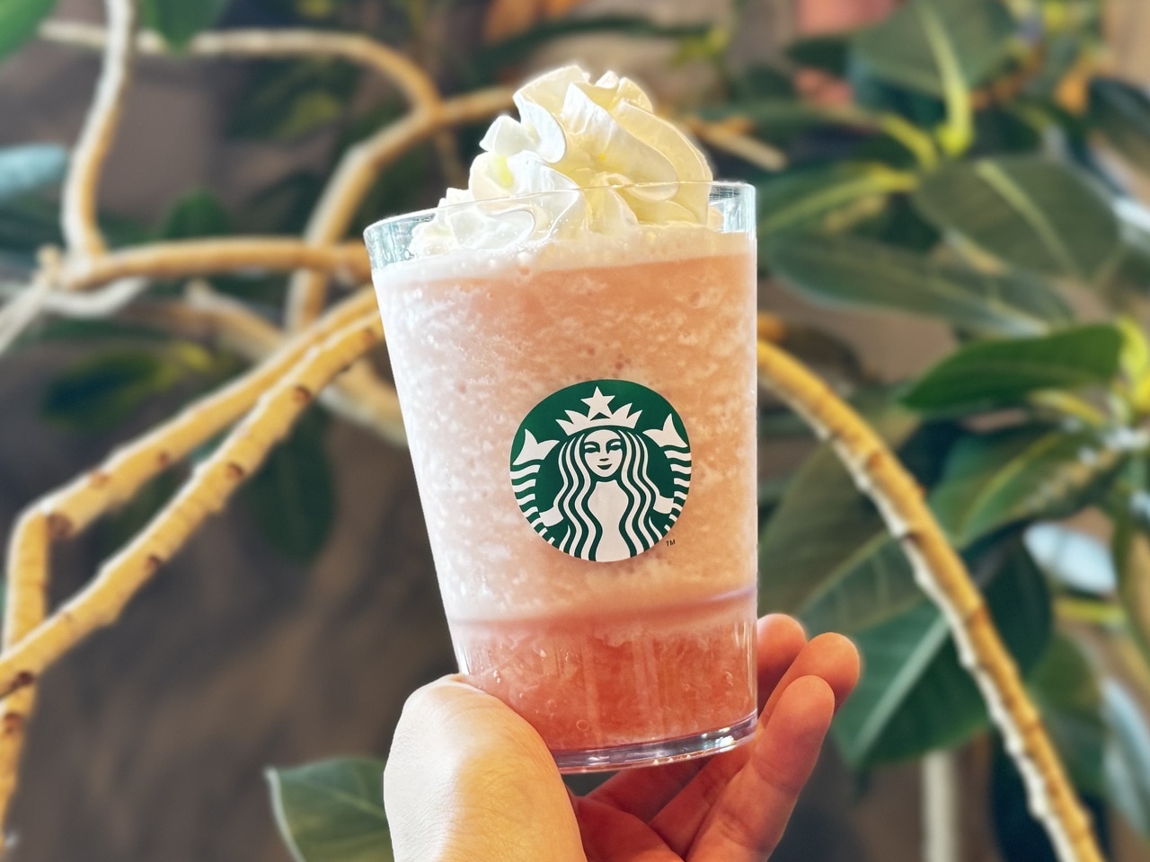 スターバックス「ピーチ & ピーチミルク フラペチーノ®」正面