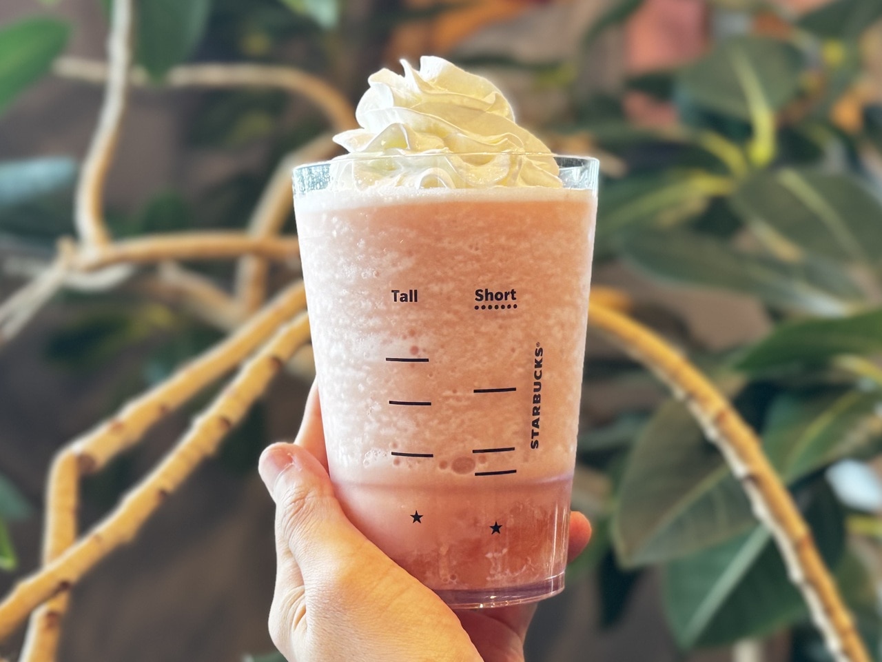 スターバックス「ピーチ & ピーチミルク フラペチーノ®」手持ち