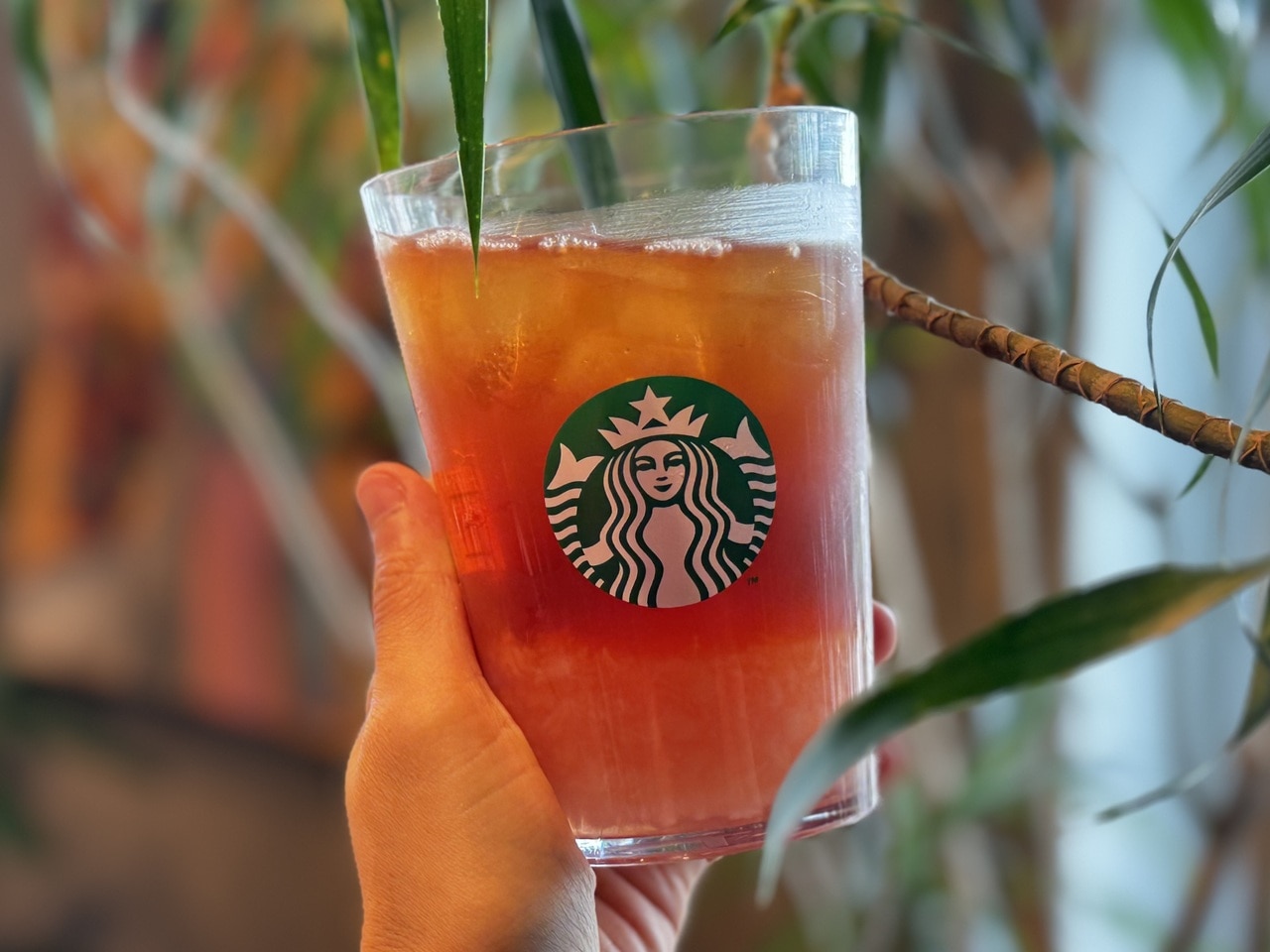 スターバックス「クラフト ジューシー ピーチ ティー」正面