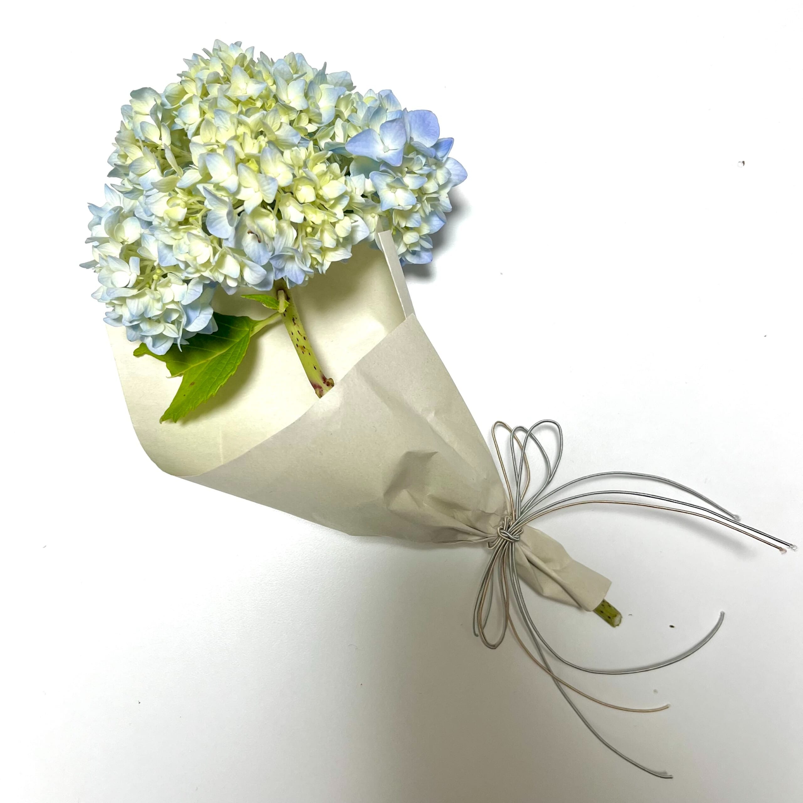 LEE100人隊が作った紫陽花守り
