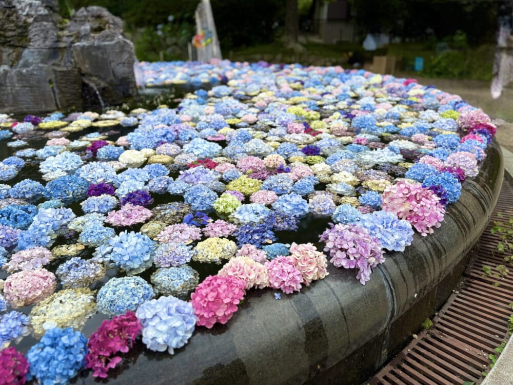 久安寺
あじさいうかべ
