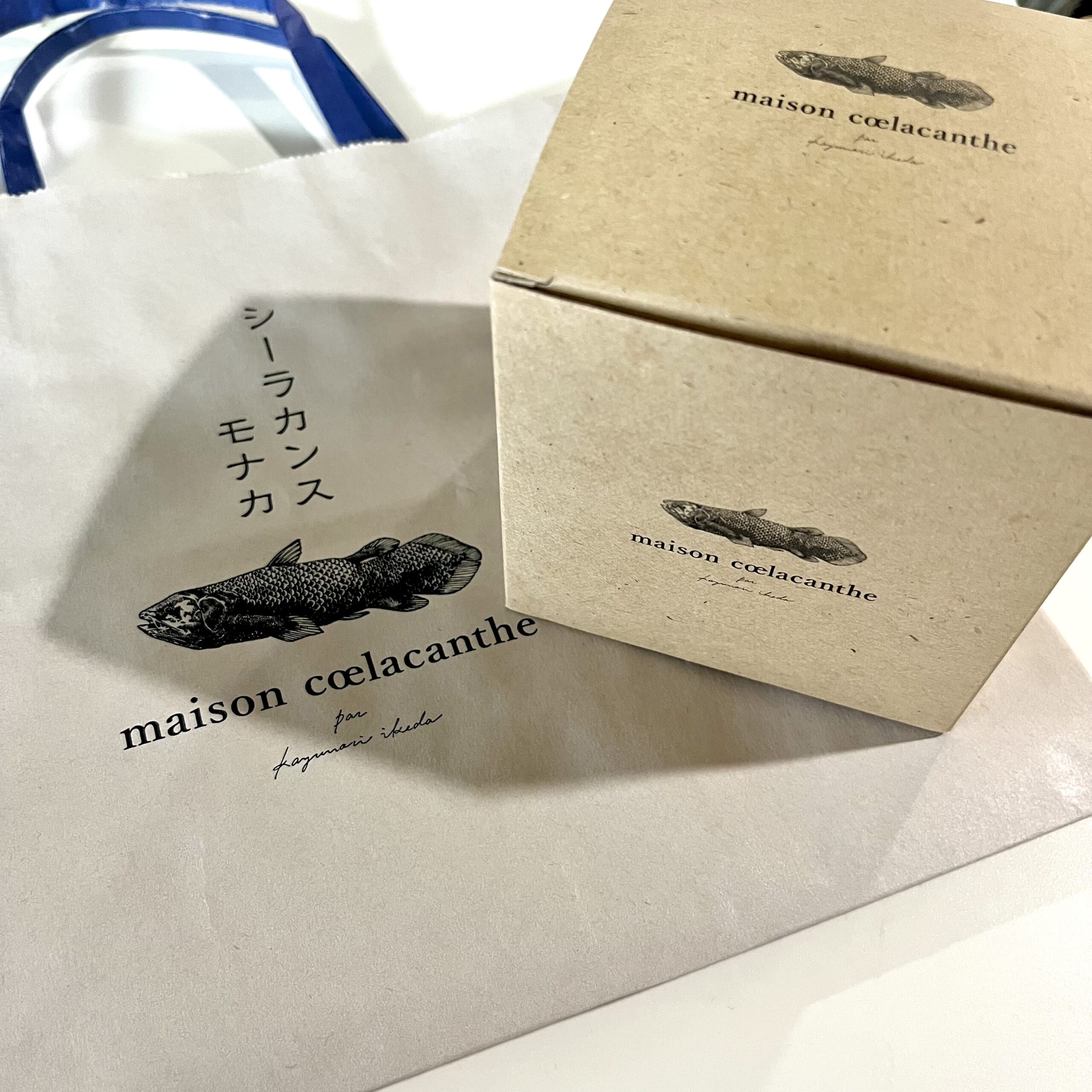 箱　袋