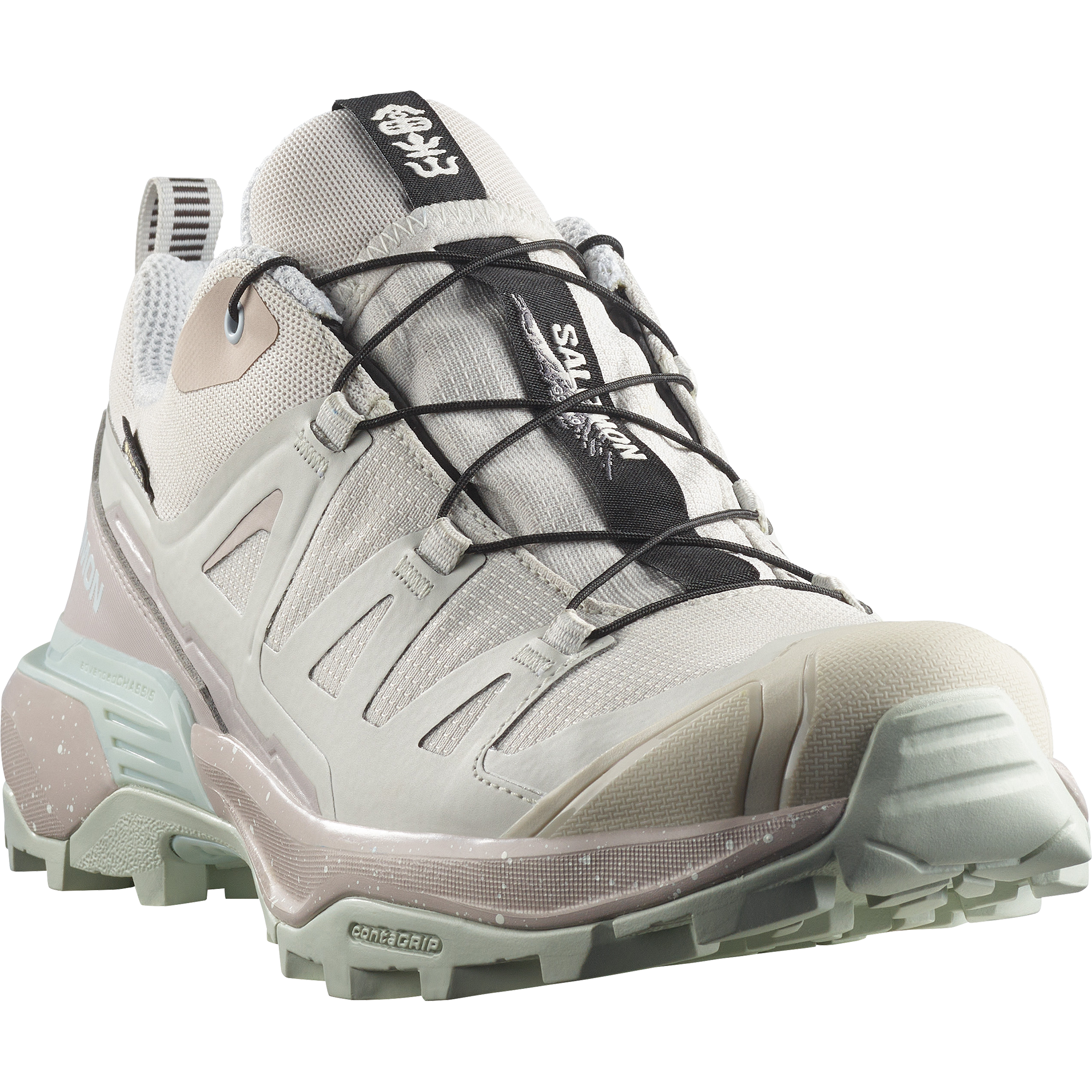 X ULTRA 360 GORE-TEX FUJI LTD　ASHES OF ROSES/ICE FLOW/ANCIENT WATE