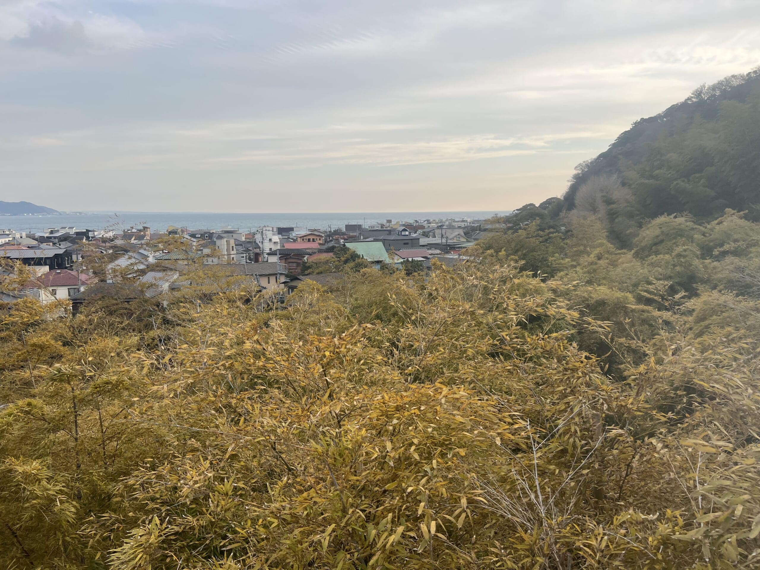 【鎌倉】さんぽ。ときどき、よりみち。神社仏閣・食べ歩き・お買い物。TB icoco
