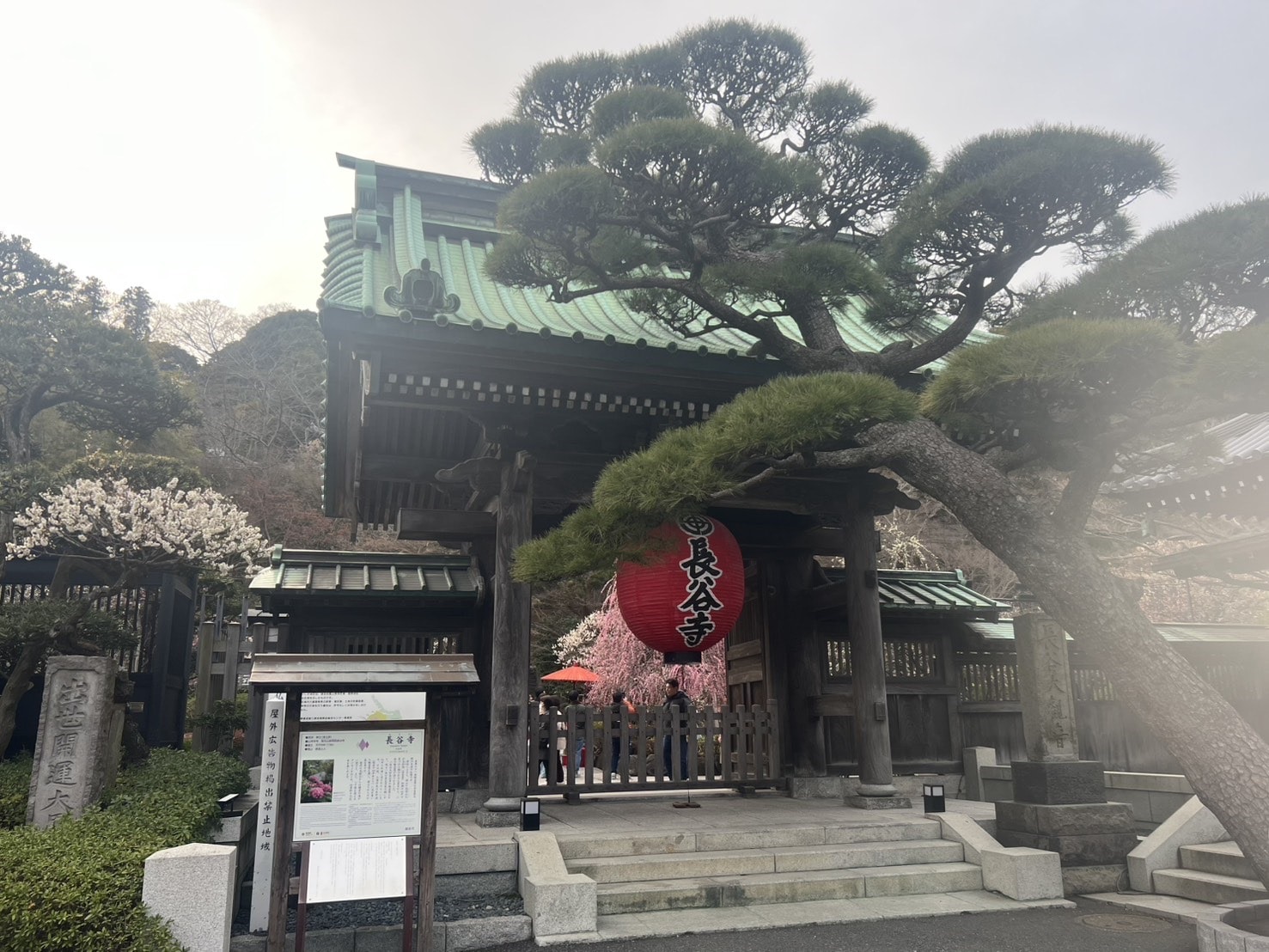 【鎌倉】さんぽ。ときどき、よりみち。神社仏閣・食べ歩き・お買い物。TB icoco