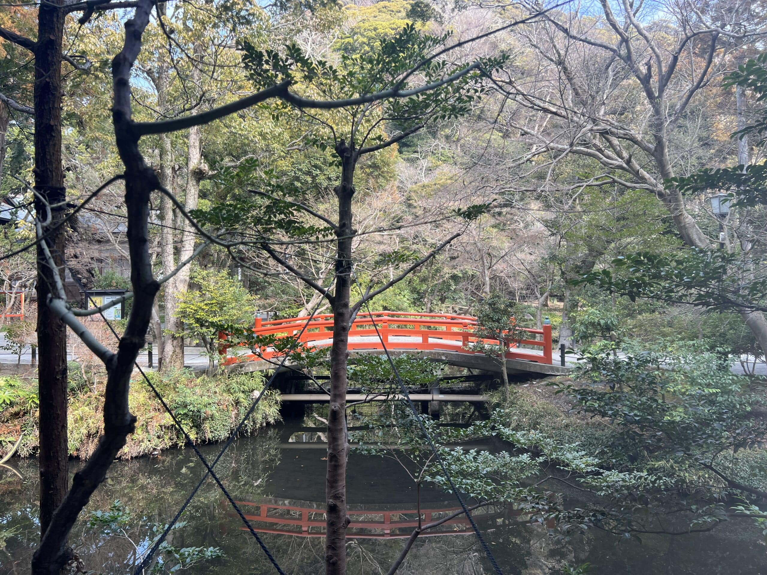 【鎌倉】さんぽ。ときどき、よりみち。神社仏閣・食べ歩き・お買い物。TB icoco