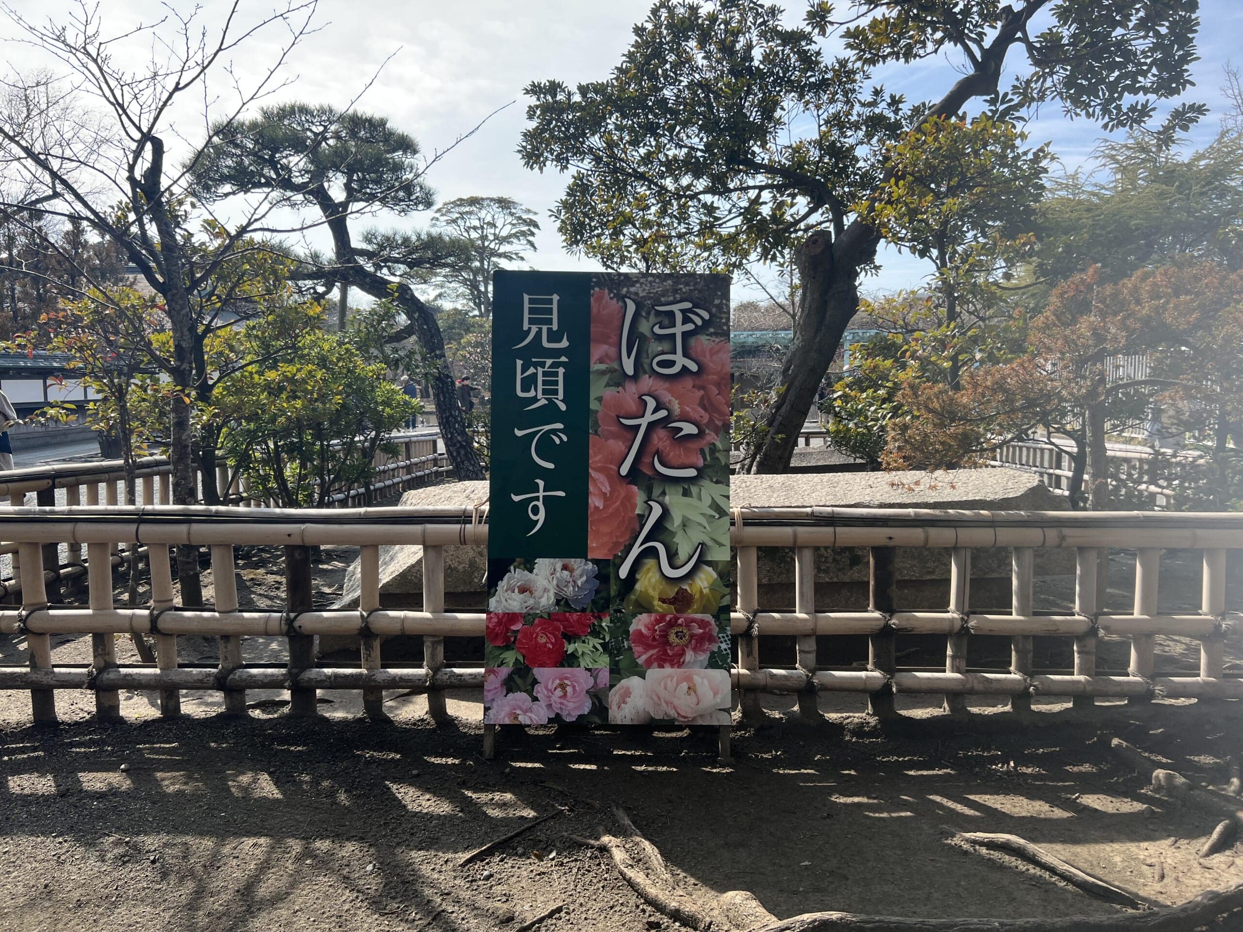 【鎌倉】さんぽ。ときどき、よりみち。神社仏閣・食べ歩き・お買い物。TB icoco