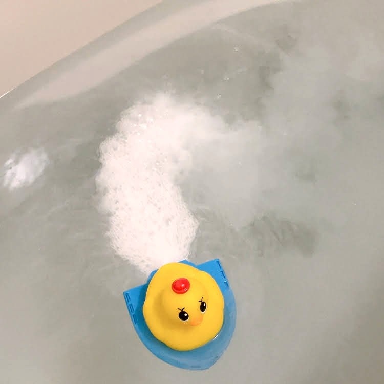 アヒル隊長　前に進む
