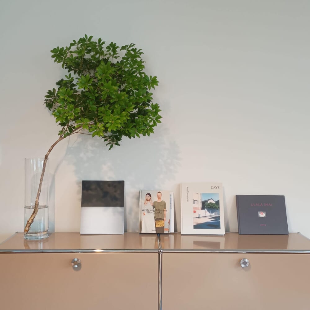 グリーン　観葉植物　枝物　アセビ3
