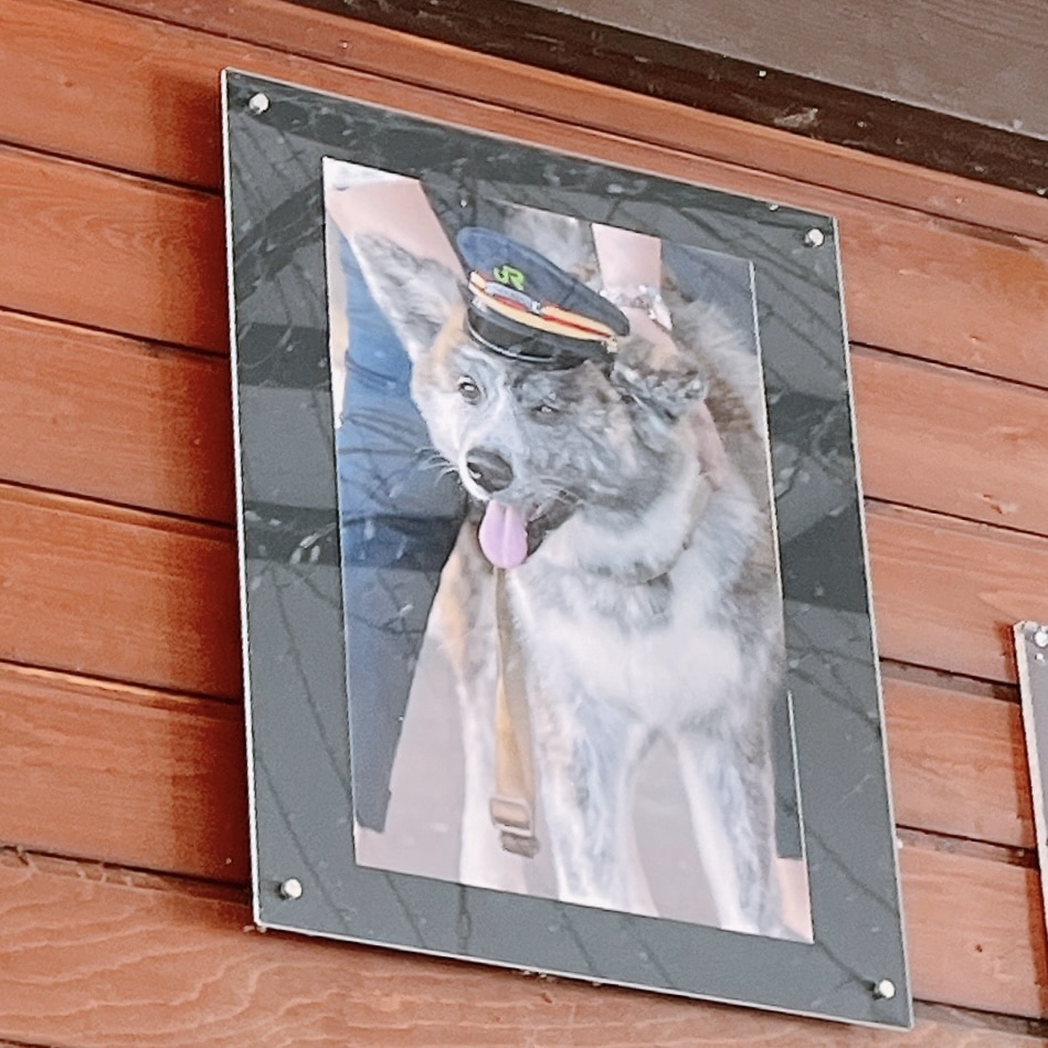 ニセコ駅 特急ニセコ号 駅長犬