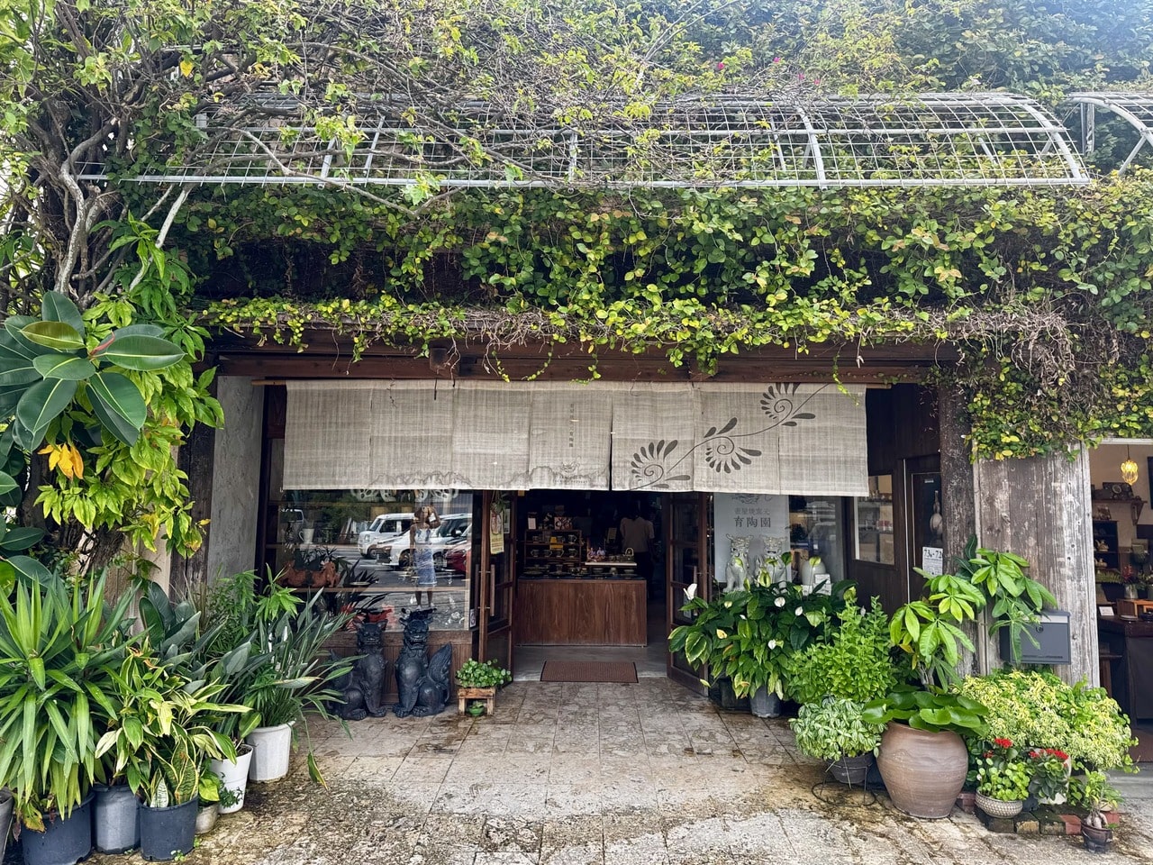 育陶園ショップ外観