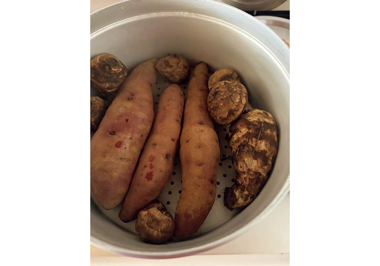 粗食で生活を正して元気に