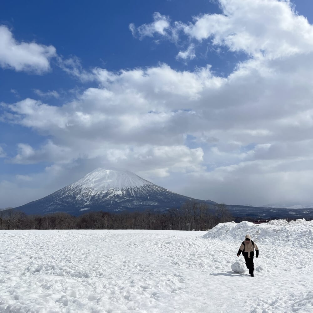 ニセコ高橋牧場 雪原 羊蹄山