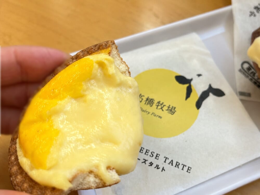 ニセコ 高橋牧場 チーズタルト