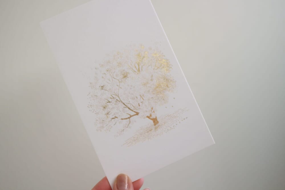 shunshun イラスト