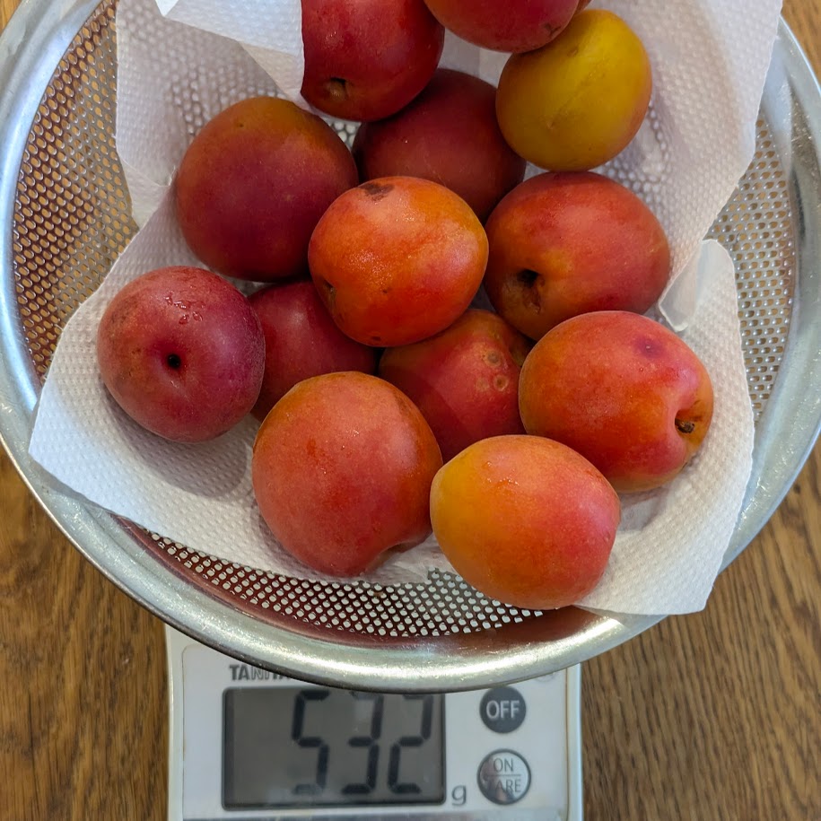 艶茜　梅　梅干し計量