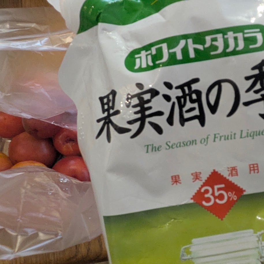 ホワイトリカー　果実酒で消毒　梅干し作り