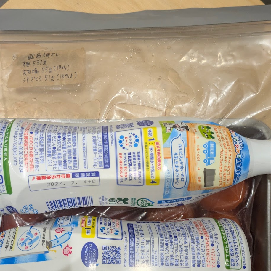 カルピス重石　梅干し　手作り