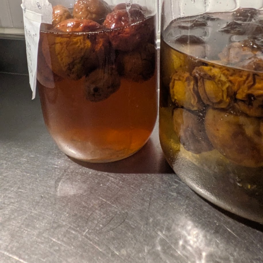 露茜　シロップ　完成