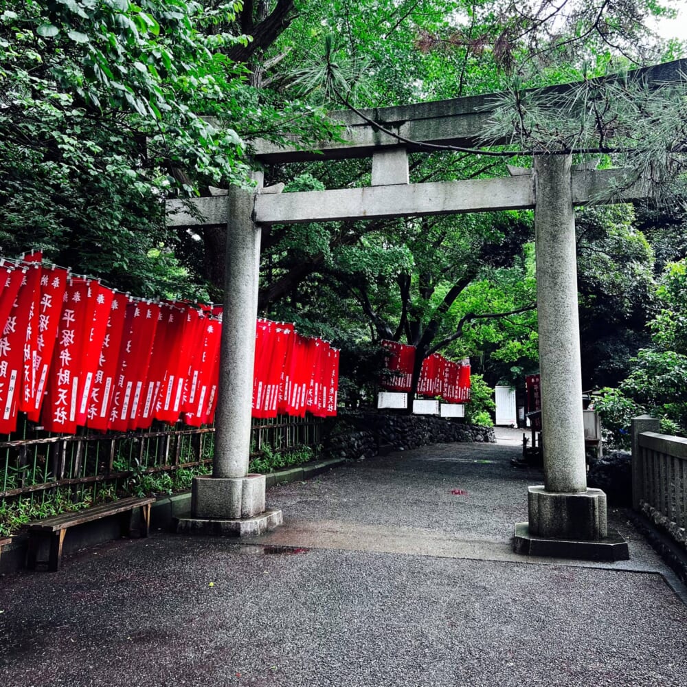 第74回湘南ひらつか七夕まつり 平塚八幡宮