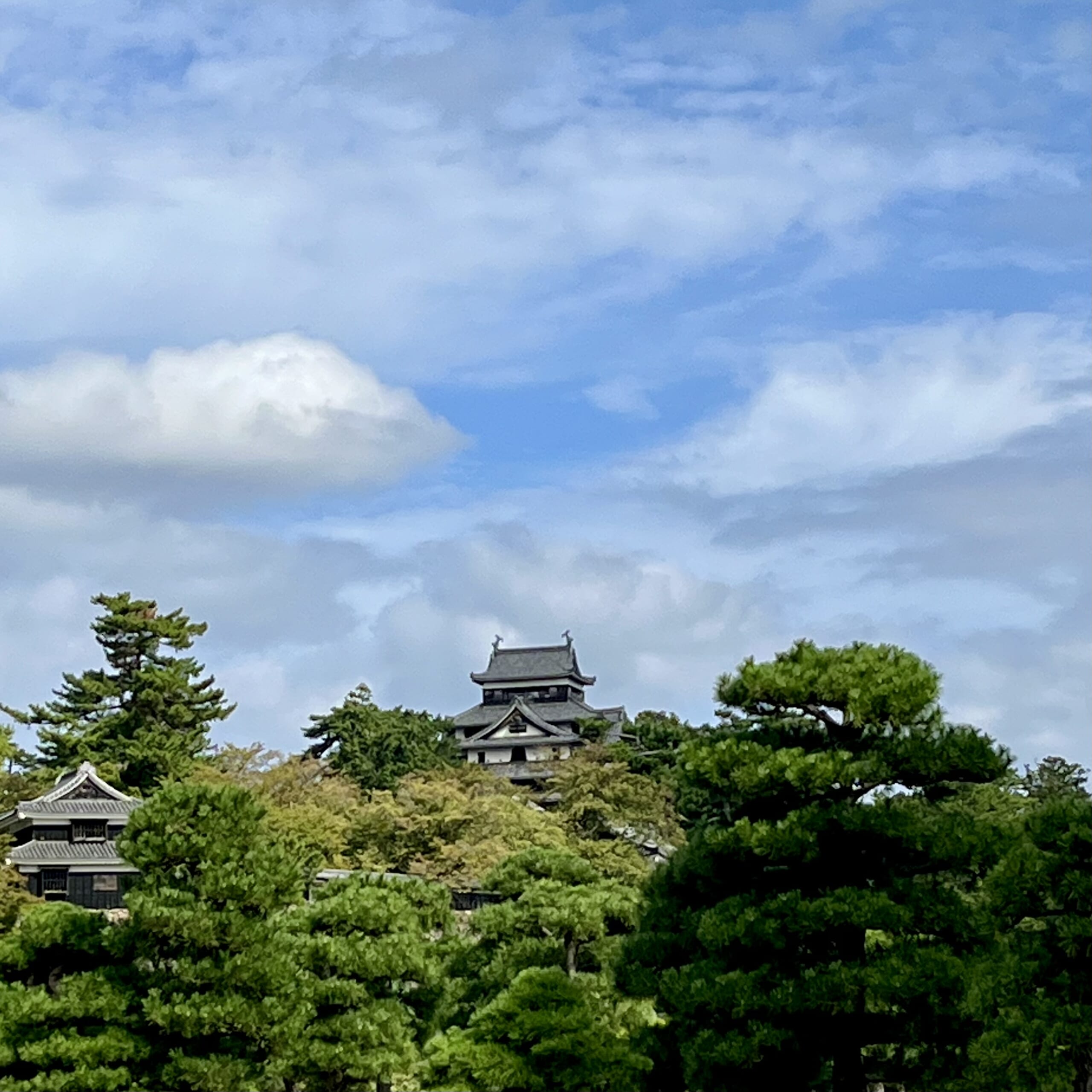 城　松江城